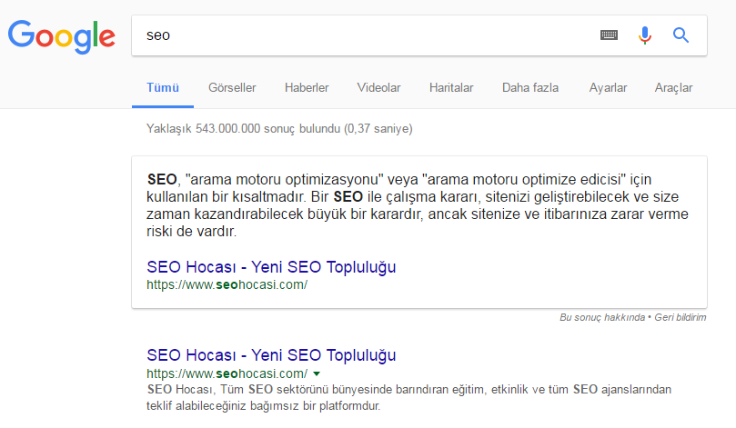 SEO Kelimesi Google Sıralaması